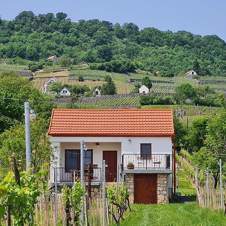 Jera Pince Es Vendeghaz Villa Somlovasarhely Dış mekan fotoğraf
