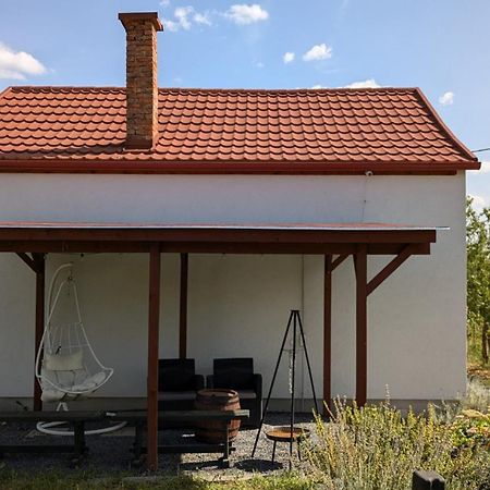 Jera Pince Es Vendeghaz Villa Somlovasarhely Dış mekan fotoğraf