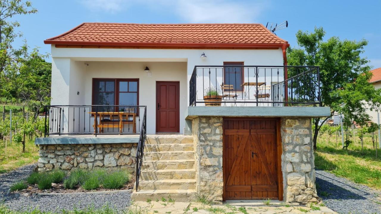 Jera Pince Es Vendeghaz Villa Somlovasarhely Dış mekan fotoğraf