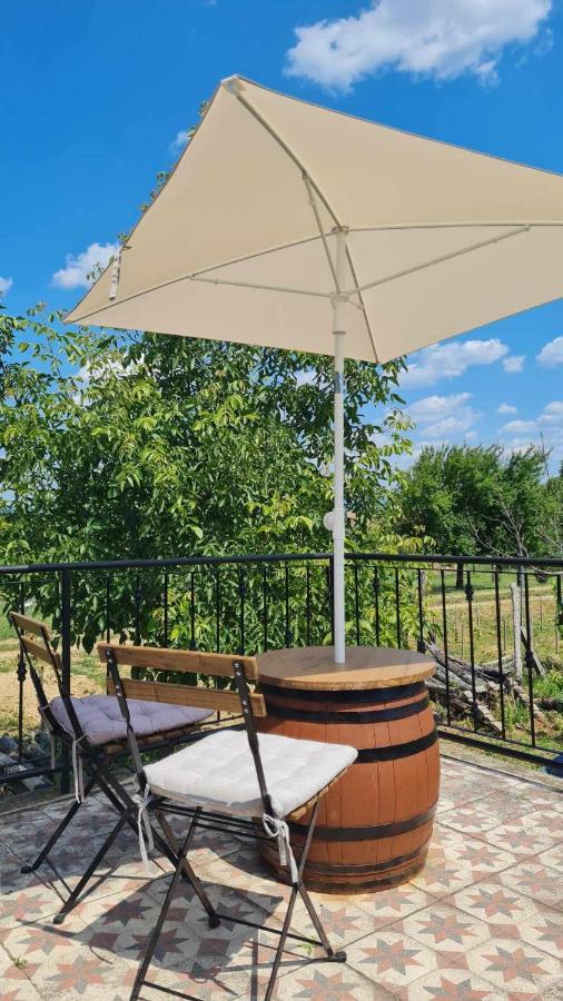 Jera Pince Es Vendeghaz Villa Somlovasarhely Dış mekan fotoğraf